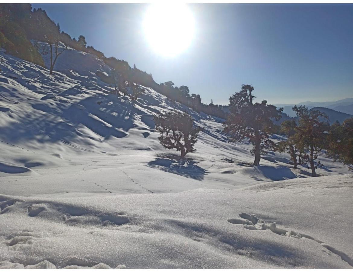 Chopta Wildlife Camps Resorts, Chopta Exterior photo